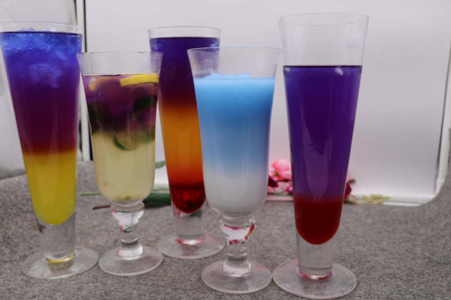 石家庄泰国蝶豆花培训