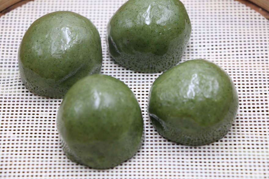 石家庄青团培训